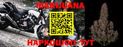 кокс Моздок
