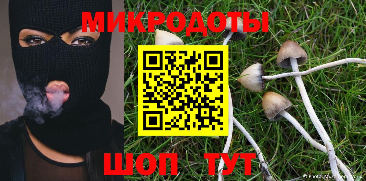 Домодедово  Псилоцибиновые грибы MAGIC MUSHROOMS  Вход с VPN  Псилоцибиновые грибы мухоморы 